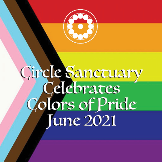 Circle Colors of Pride June 2021 square